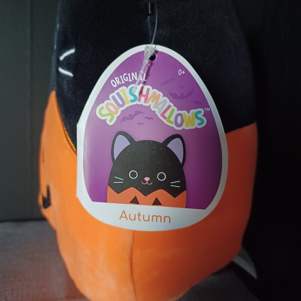 NWT Squishmallows Autumn Black and Orange Halloween Cat Plush - Picture 2 of 7